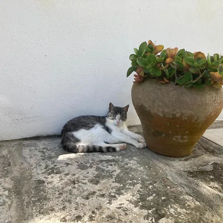 Διαμέρισμα Casinha Do Solar