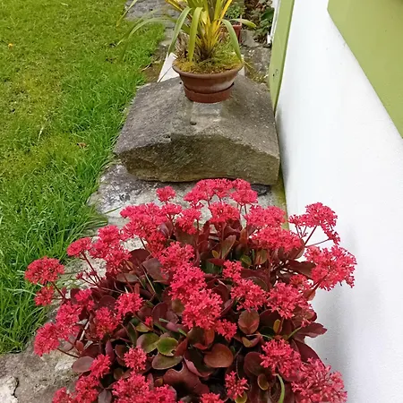 Casinha Do Solar Angra do Heroísmo