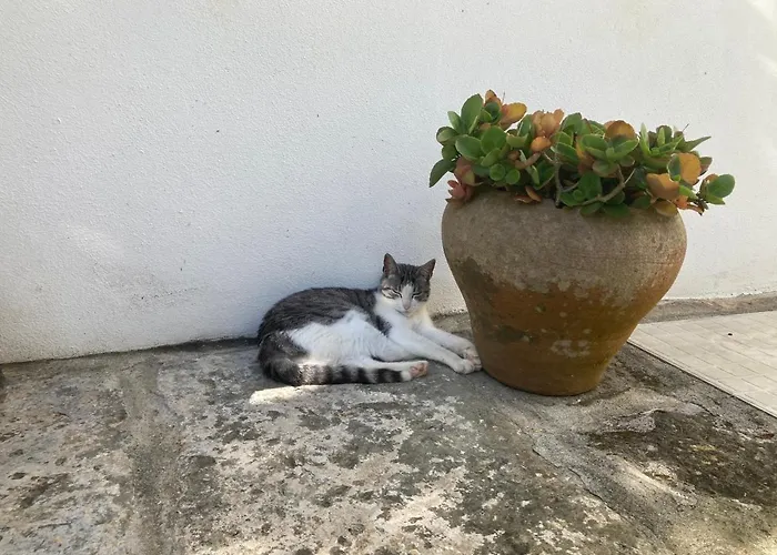 Διαμέρισμα Casinha Do Solar