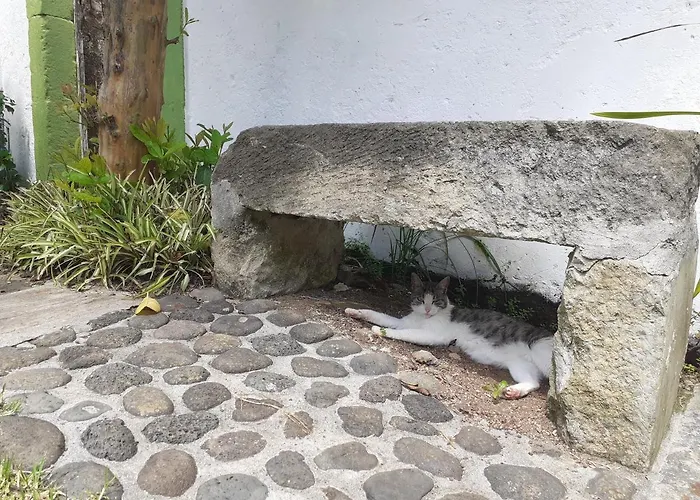 Casinha Do Solar * Angra do Heroísmo