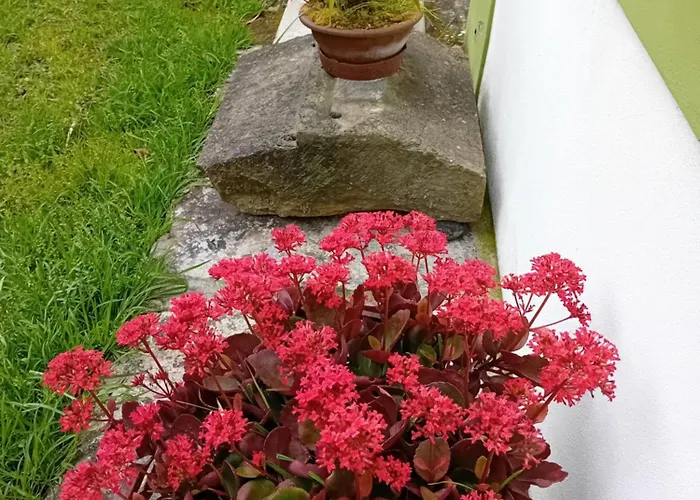 Casinha Do Solar Angra do Heroísmo