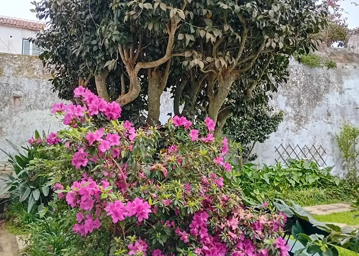 Casinha Do Solar Διαμέρισμα