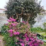 Casinha Do Solar Apartment