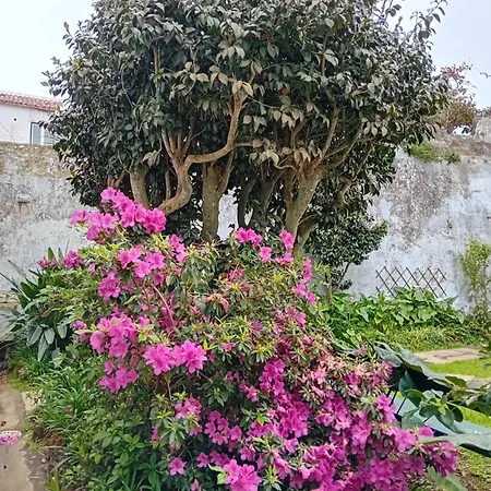 Casinha Do Solar דירה